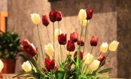 迎春接福，建议开门见这几件物品