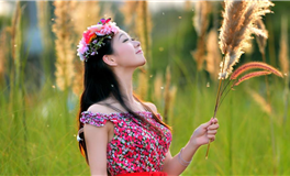 董易林生肖兔2024年2月运势