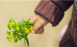 双子座，一个讨厌被误解的星座