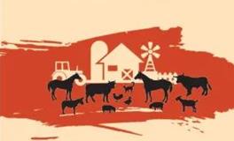 水瓶座新月：人类进入2.0版本