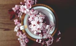 桃花预言：测你2024年会有几段恋情？