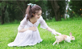 秦阳明生肖猴2024年3月运势