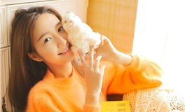 如何唤醒属马人的斗志