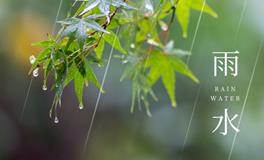 今日雨水，一帘新雨后，人间又逢春