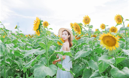 Alex大叔射手座2024年3月运势