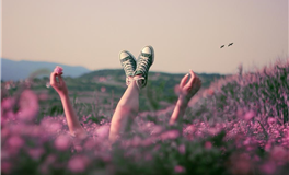 对别人高要求＿到了自己就降低标准的生肖