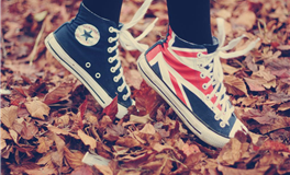 属猪男发现自己被戴绿帽了会怎么做？