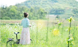 属虎人会因胆识出众而实现梦想吗