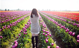 莫测之星天蝎座2024年4月运势