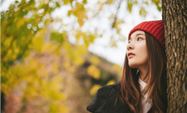 贵人相助，运气非常好的生肖