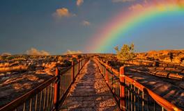 卡牌预言，上半年哪个星座是你的幸运星