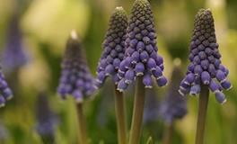 属龙人2024年有什么灾难，如何化解灾难