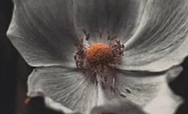 1976年火命属龙人性格特点，1976年属龙人一生命运如何