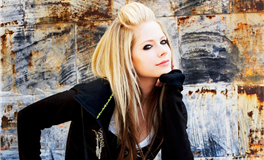 属马的靠什么渡过你的艰难岁月