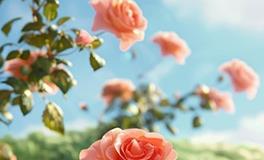 孩子是报恩还是讨债，出生前就能看出来