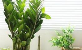 让性格脾气变好的家具布置