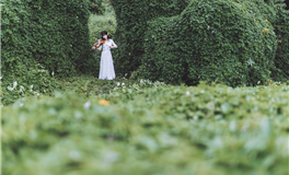 射手座会因为什么辞职