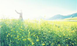 杀破狼白羊座一周运势（4.15-4.21）