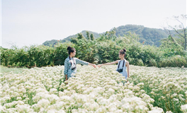 MT曼陀罗华一周星象运势（4.29-5.5）假日愉快