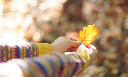 闹闹女巫店水瓶座一周运势（4.1-4.7）