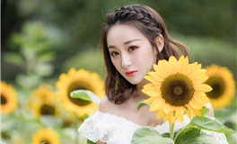 12星座职场：不会轻易透露的心理防线