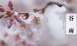 谷雨时节如何旺情缘