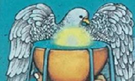 爱莎公主白羊座2024年5月塔罗运势