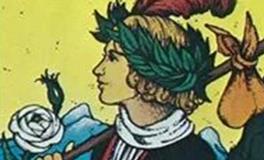 爱莎公主处女座2024年5月塔罗运势