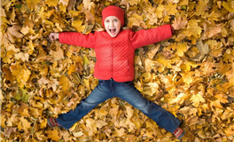 赤百合狮子座本周运势（5.13-5.19）