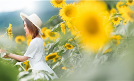 总是闲不住，走到哪里都会搞事情的三个星座