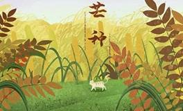 节气转运法，芒种时节，好运连连