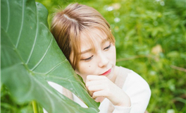 诱惑白羊男的致命吸引力