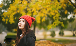 狮子座与12星座会是什么类型的恋爱