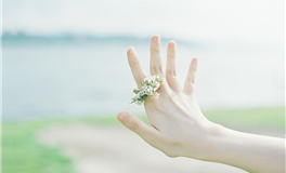 蓝蓝占星狮子座一周运势（7.29-8.4）