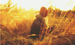 四大星座行好运，贵人相伴助力成功路