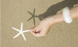 一身傲骨，不巴结人的星座