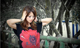 在职场中，12星座如何高效积累人脉？