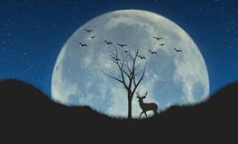 圆月当空，思念如潮，中秋月圆之奥秘何在