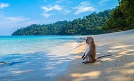 1992年属猴的2025全年运势