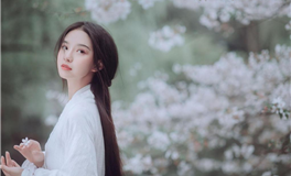 神叨酱双子座2024年11月塔罗运势