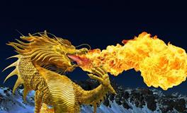 1988年龙2025运势