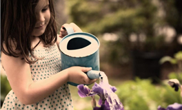 11月星座运势揭晓：这些星座好运连连！