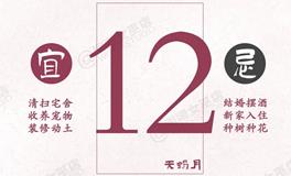 闹闹女巫店今日运势2024年11月12日