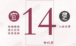 闹闹女巫店今日运势2024年11月14日