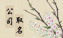 比较大气的公司名字 公司起名新颖