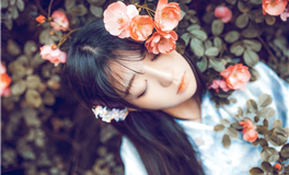 水玲师傅2024年12月生肖运势