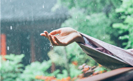 改名风潮席卷娱乐圈：探究男女明星更名的真实动机