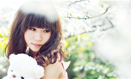 掌握本命年：六大吉凶要素解析指南！