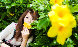 绿意盎然中的财富秘密：探究【财运缓步不前的奥秘】