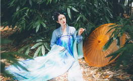 2025年，生肖属猪的人2025年运势解析